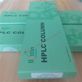 Boston Uni C18 波士顿液相色谱柱