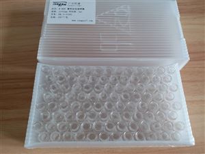 9-425透明自动进样瓶 2ML-9-V1002