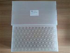 20mm钳口透明玻璃顶空进样瓶20ML-20-V1002