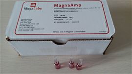 MagnaAmp蒸汽自含式生物指示剂