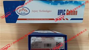 Sepax Amethyst C18-H 赛分液相色谱柱