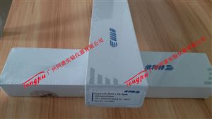 依利特Hypersil BDS C18液相色谱常规分析柱